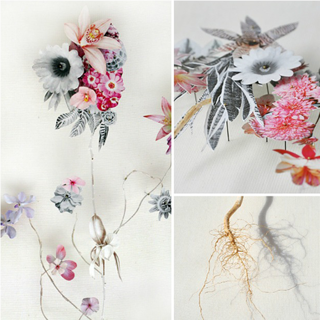 flower constructions anne ten donkelaar